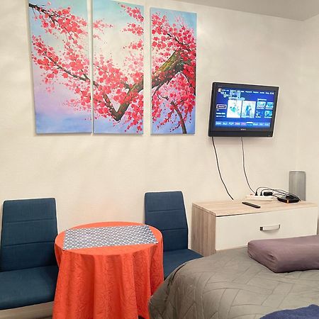 Top Studio Full Optional Saint Louis Vicino Stazione Saint Louis 68300 France Extérieur photo