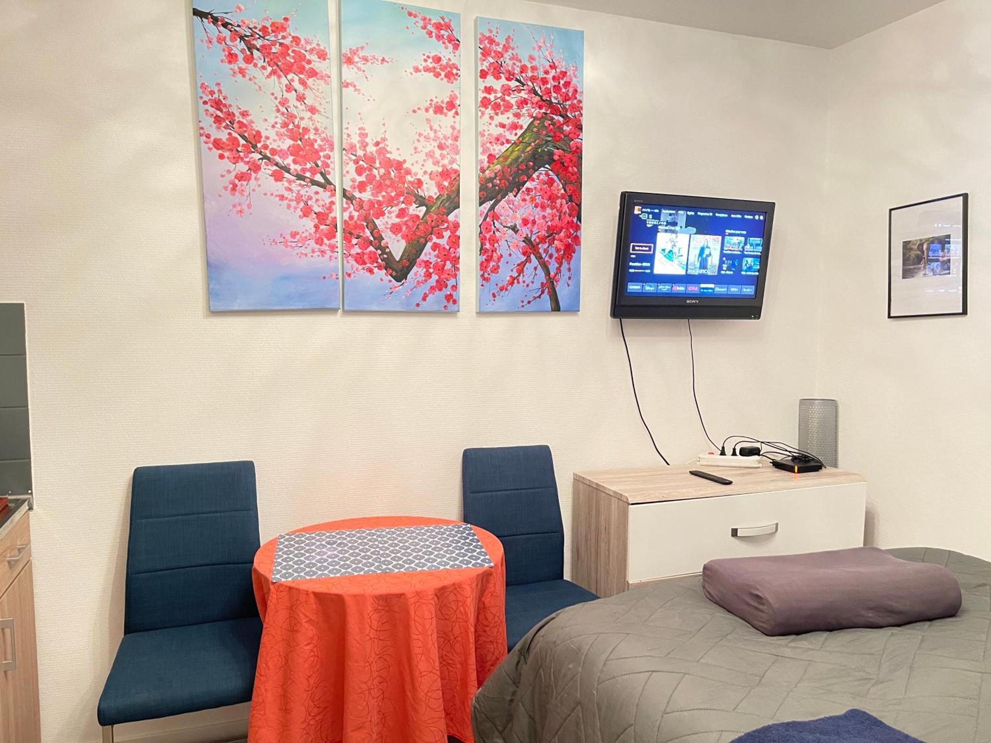 Top Studio Full Optional Saint Louis Vicino Stazione Saint Louis 68300 France Extérieur photo